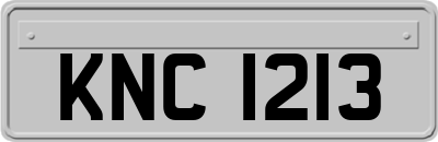 KNC1213