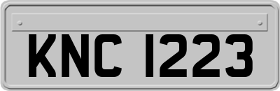 KNC1223