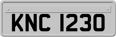 KNC1230