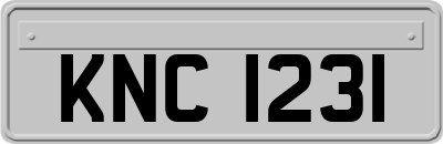 KNC1231