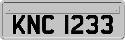 KNC1233