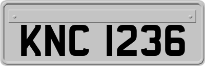 KNC1236