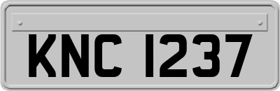 KNC1237