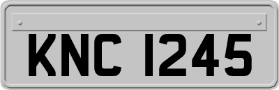 KNC1245