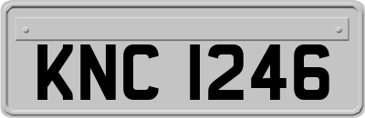 KNC1246