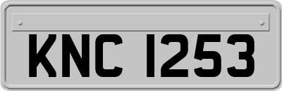 KNC1253