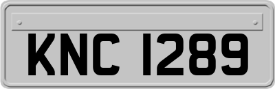 KNC1289