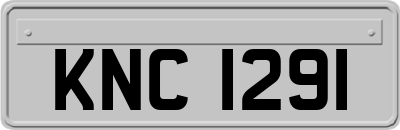 KNC1291