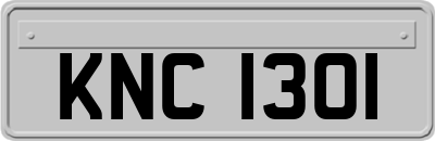 KNC1301