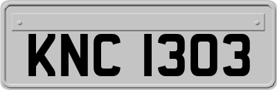 KNC1303