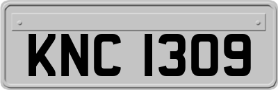 KNC1309