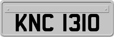 KNC1310