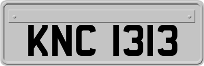 KNC1313