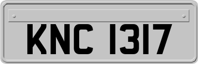 KNC1317