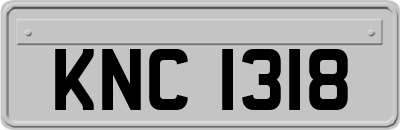 KNC1318