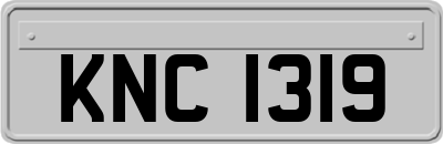 KNC1319