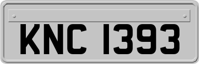 KNC1393