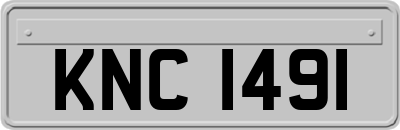 KNC1491