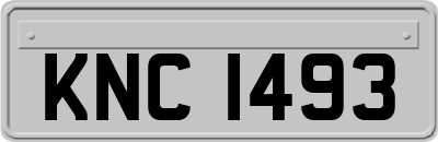 KNC1493