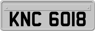 KNC6018