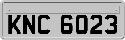 KNC6023