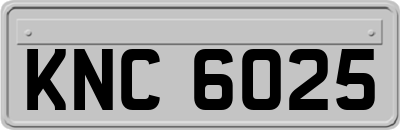 KNC6025