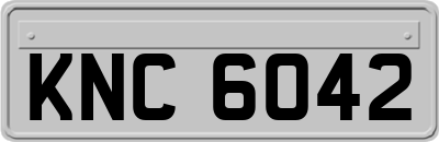 KNC6042