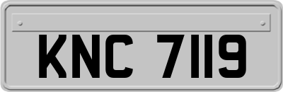 KNC7119