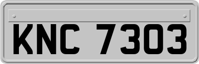 KNC7303