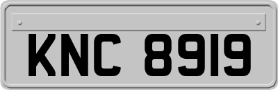 KNC8919