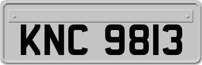 KNC9813