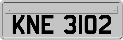 KNE3102