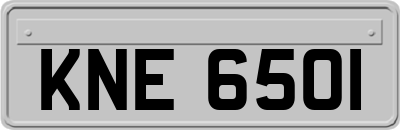 KNE6501