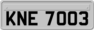 KNE7003