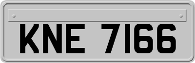 KNE7166