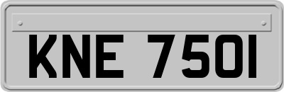KNE7501