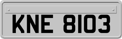 KNE8103