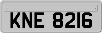 KNE8216