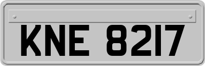 KNE8217