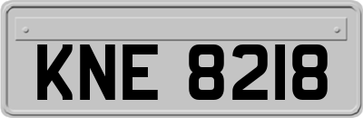 KNE8218