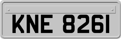 KNE8261