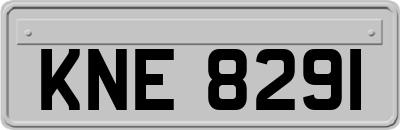 KNE8291