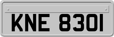 KNE8301