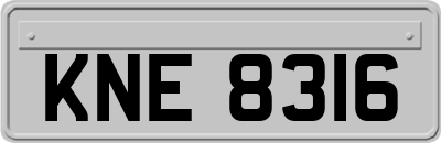 KNE8316