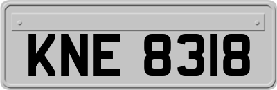 KNE8318