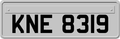 KNE8319