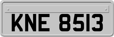 KNE8513