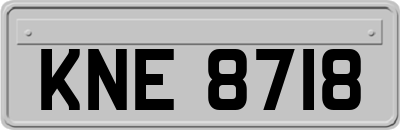 KNE8718