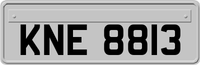 KNE8813