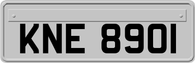 KNE8901